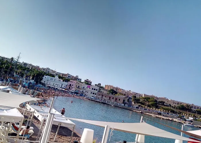 Проживание в семье Bayview